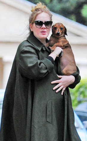 Adele Adele